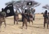 Zabarmari Massacre. We Killed More Than 43- Shekau