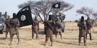 Why we kidnapped Katsina school boys- Abubakar Shekau..