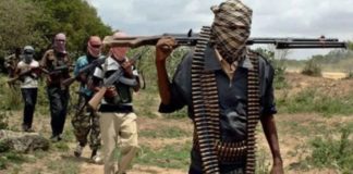 Gunmen abduct’s two, kill one in Nasarawa..
