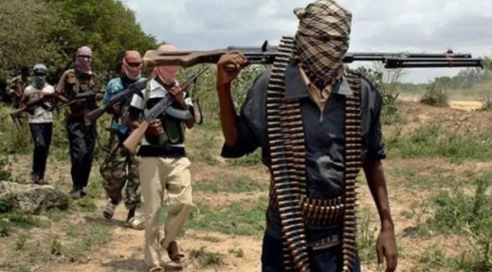 *Katsina bandits arrest thief, hand him over to security personnel*