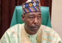 Families of slain rice farmers get food items, N600,000 each