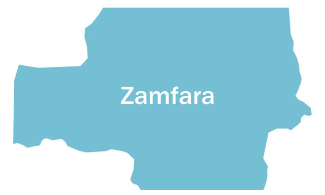 Just in:Gunmen abduct students of agriculture college in Zamfara..