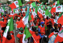*Fuel Price Increase: We’ll shut down Nigeria — NLC warns*