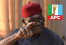 *Abia 2023: Analysing Dr Chidia’s Local Govt industrial revolution plan*