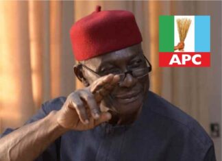 *Abia 2023: Analysing Dr Chidia’s Local Govt industrial revolution plan*