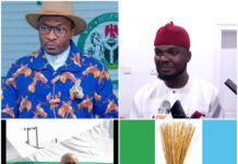 Ikechi Emenike Didn’t Attack Orji Kalu, Ben Kalu Behind Fake Story — Abia APC