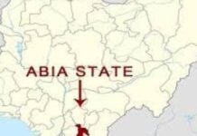 2023 Abia Guber: It’s between APP and PDP — Ubani