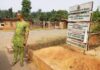 *Senator Orji Uzor kalu’s caterpillar revolution still ongoing as the senator Flags off fresh Construction of Various roads across Abia North and Beyond*